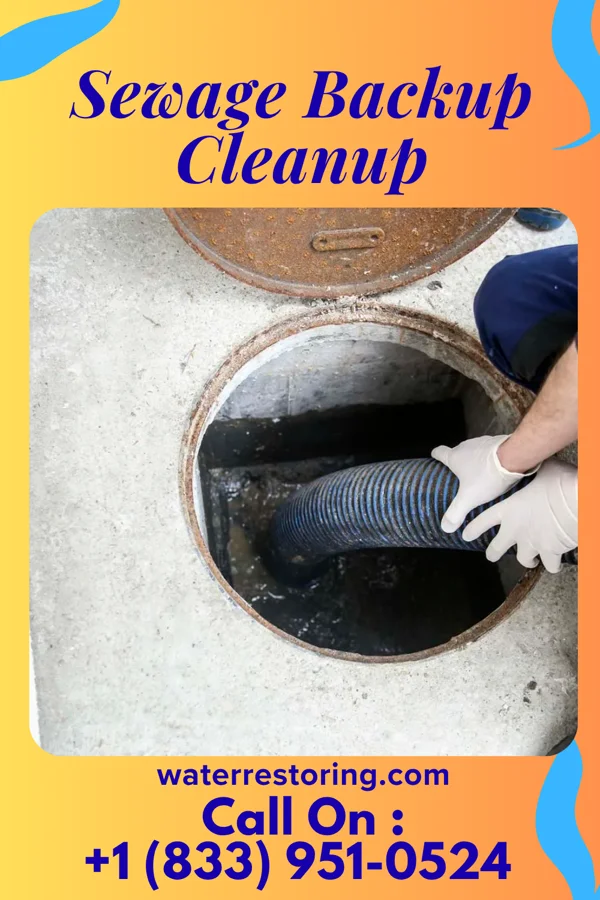 Sewage Backup Cleanup in Catawba, WI